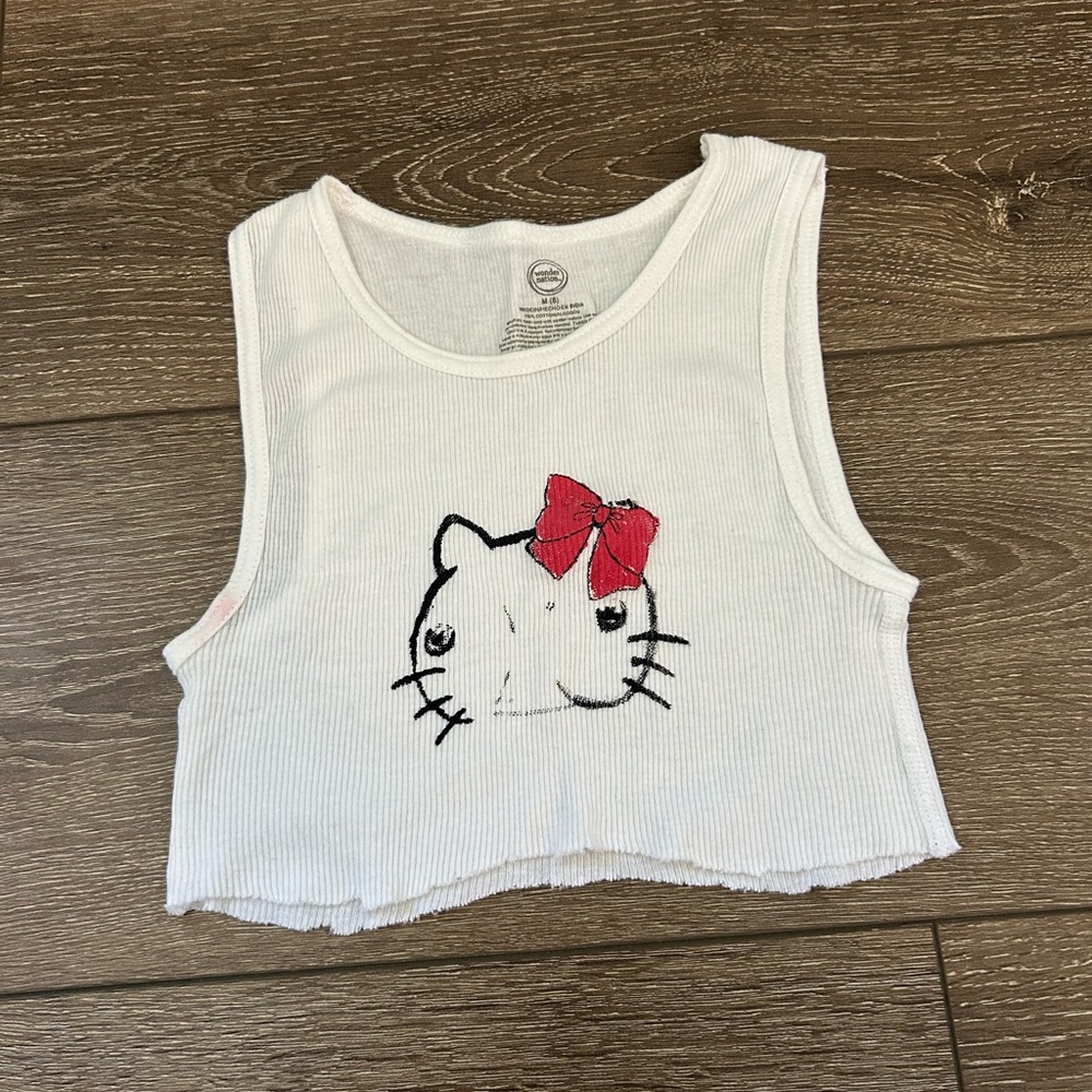 Hello Titty Crop top